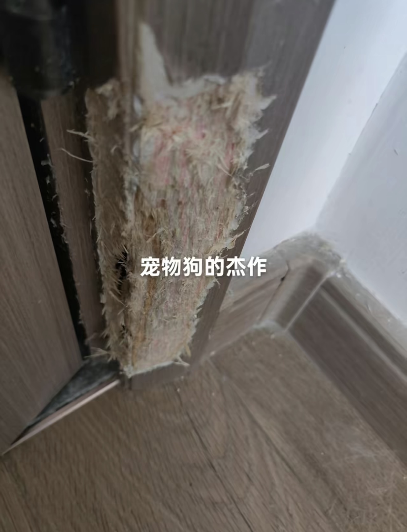 Pet-Damaged Door Frame Repair — Before: Damage to the lower frame beside the door hinge.