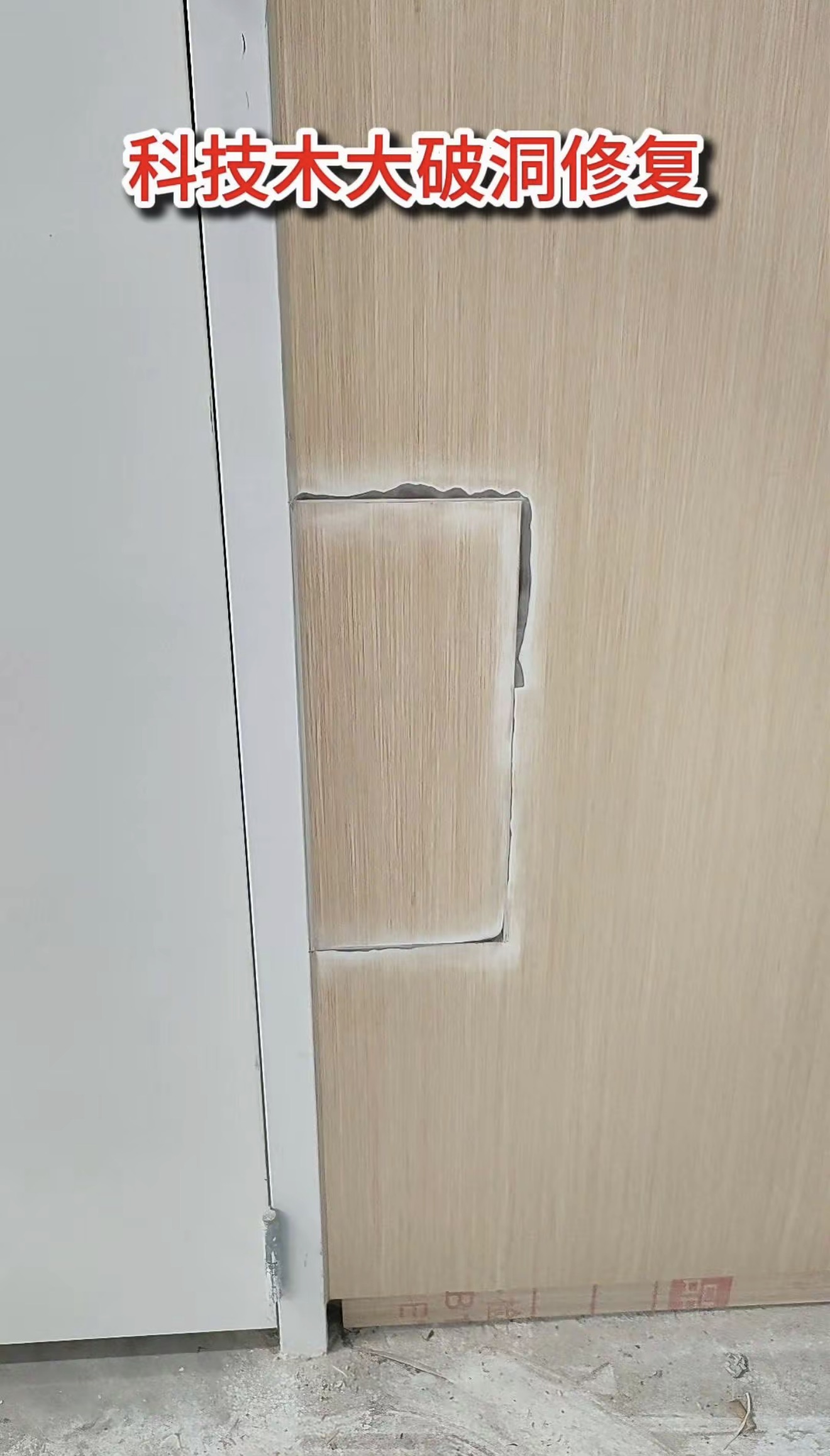Door Panel Patch & Grain Finishing — Before: The patched area before the surface finish is blended.